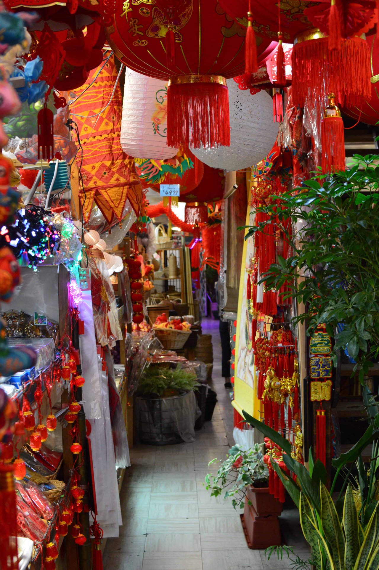 Inside Bamboo Village, Ian Flock, 2019