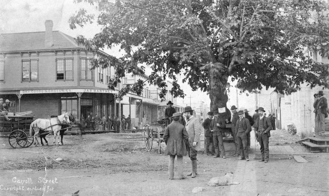 Maple Tree Square at the corner of Carrall Street and Water Street in 1886. Source: City of Vancouver Archives Str P83.