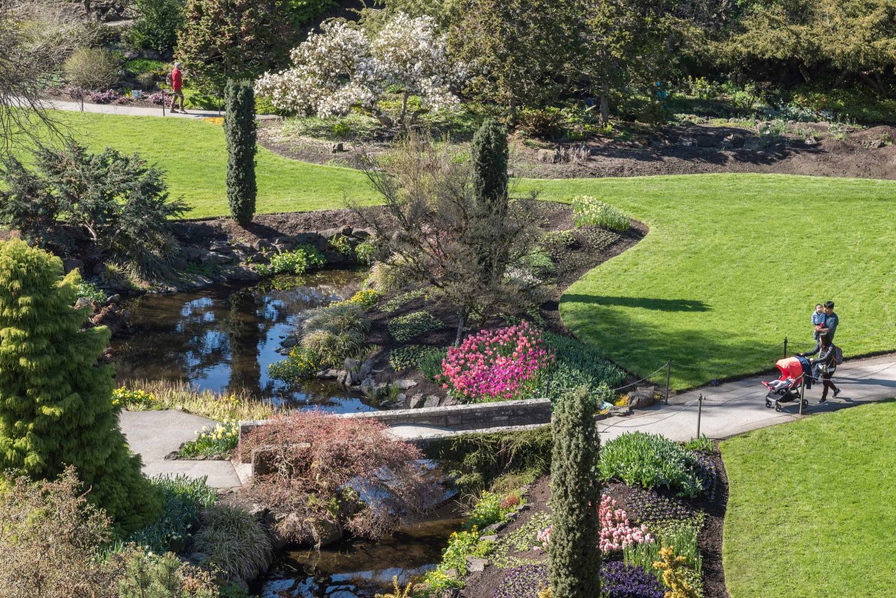 Gardens at Queen Elizabeth Park, 2019. Credit: Rob Atkins