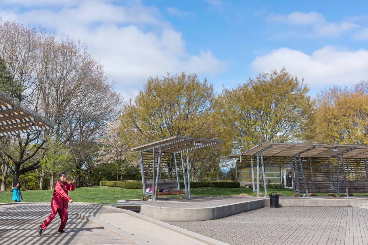 Tai Chi at Queen Elizabeth Park, 2019. Credit: Rob Atkins